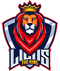 Team Image